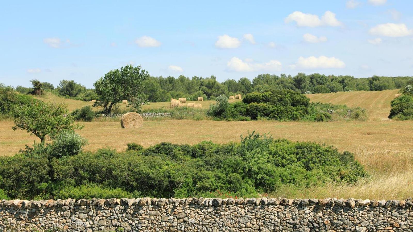 La Valle Delle Rose Villa Massafra Esterno foto