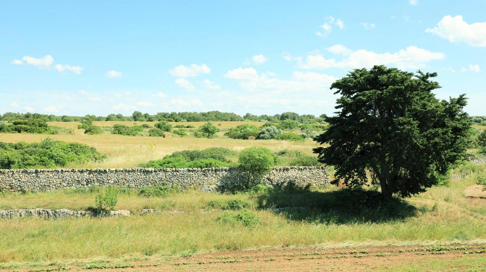 La Valle Delle Rose Villa Massafra Esterno foto